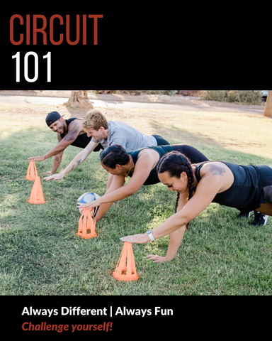 Circuit 101