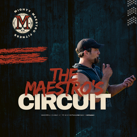 The Maestro's Circuit